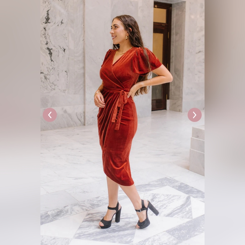 Ivy City Co Lillie dress size Medium